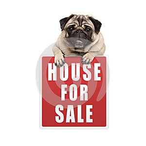 Cute pug puppy dog hanging with paws on red house for sale sign