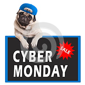 Cute pug puppy dog hanging with paws on sign with text cyber monday, on white background