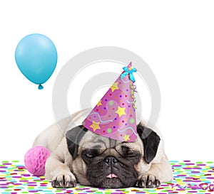 Cute pug puppy dog with party hat lying down on confetti, sticking out tongue, tired of partying, on white background