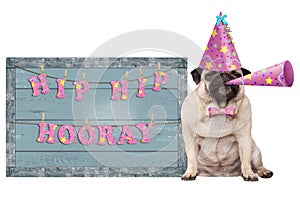 Cute pug puppy dog with pink party hat and horn and old blue wooden sign with festive hip hip hooray banner photo