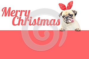 Cute Pug puppy dog with red christmas hat ears looking at easy text to remove with word Merry Christmas above pink banner.