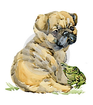 Cute Pug puppy dog watercolor illustration isolated on white.
