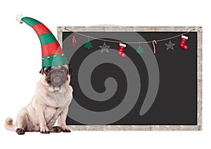 Cute pug puppy dog wearing an elf hat, sitting next to blank blackboard sign with christmas decoration, on white bac