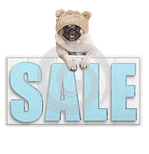 Cute pug puppy dog wearing knitted hat for winter cold, hanging with paws on big sale sign, isolated on white background