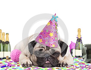 Cute pug puppy dog wearing party hat, lying down on confetti, fed up and drunk on champagne, tired of partying, on white