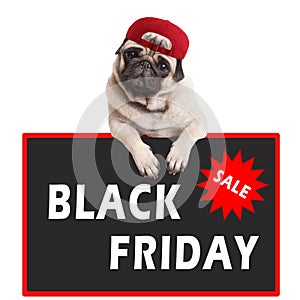 Cute pug puppy dog wearing red cap and hanging with paws on sign with text black friday, on white background