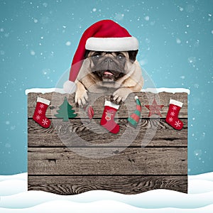 Cute pug puppy dog wearing santa hat hanging with paws on weathered wooden sign with Christmas decoration photo