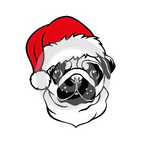 Cute pug with red Santa hat. Christmas pug dog portrait. Vector illustration