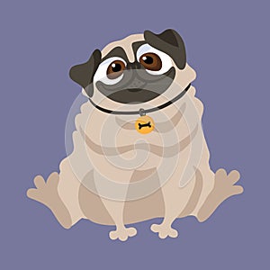 Cute Pug. Vector illustration of a dog.