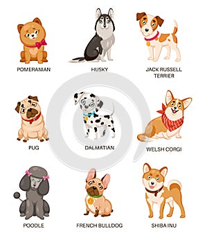Cute puppies. Funny dogs of different breeds. Cartoon pomeranian, husky and terrier, pug and poodle, bulldog and