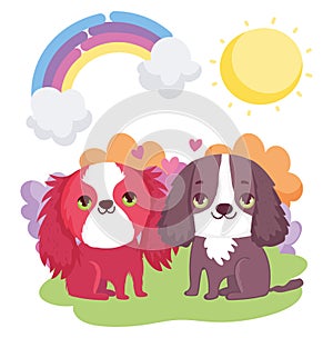 Cute puppies sitting rainbow sun clouds pets