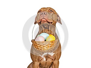 Cute puppy and a basket of Easter eggs