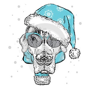 Cute puppy in a Christmas hat and sunglasses. Vector illustration for greeting card, poster, or print on clothes. Pedigree dog.