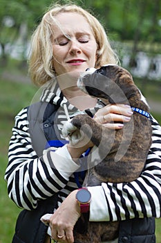 Cute puppy german boxer sitting on woman`s hands, playing and bitting hands outdoors