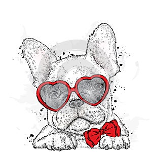 Cute puppy with glasses Heart. Valentine`s Day.