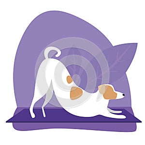 Cute puppy or jack russell terrier practices yoga, flat stock vector illustration with character dog or tropical plants as a