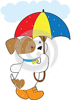 Cute Puppy in Rain