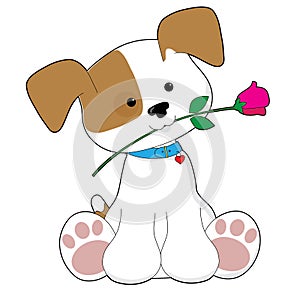 Cute Puppy with Rose