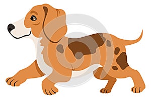 Cute puppy running. Active cartoon beagle dog