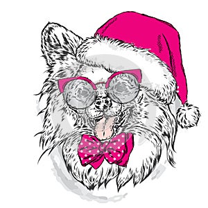 Cute puppy in Santa hat and sunglasses.