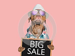 Cute puppy and sign with inscription about sale