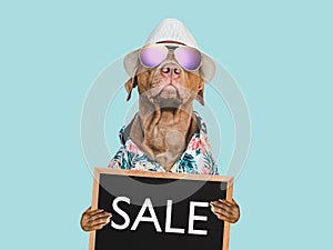 Cute puppy and sign with inscription about sale