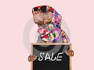 Cute puppy and sign with inscription about sale