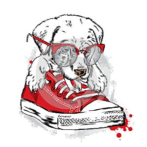 Cute puppy sitting in gym shoes. Vector illustration for greeting card, poster, or print on clothes.