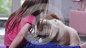 Cute puppy sniffing little child sitting on floor