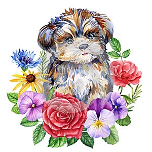 Cute puppy and spring flower on isolated white background. Watercolor hand drawn illustration. blooming wildflowers