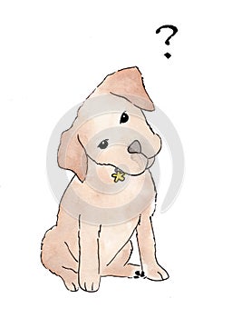 Cute puppy standing on a white background with question marks flying above