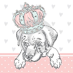 Cute puppy wearing a crown. Vector illustration for greeting card, poster, or print on clothes. Dog clothing.