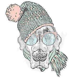 Cute puppy wearing a hat and scarf. Vector illustration for greeting card, poster, or print on clothes. Dog clothing.