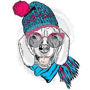 Cute puppy wearing a hat and scarf. Vector illustration for greeting card, poster, or print on clothes. Dog clothing.