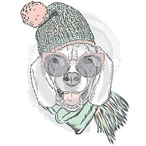 Cute puppy wearing a hat and scarf. Vector illustration for greeting card, poster, or print on clothes. Dog clothing.