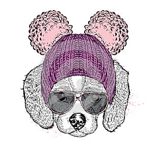 Cute puppy wearing a hat and sunglasses. Illustration for a card or poster. Vector illustration. Dog.