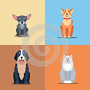 Cute Purebred Dogs Cartoon Flat Vectors Icons Set