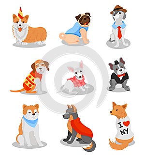 Cute purebred puppies set, pedigree dog characters vector Illustrations on a white background