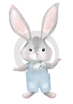 Cute rabbit in a blue jumpsuit. Little bunny in jeans with a flower Isolated on a white background. Children s card with