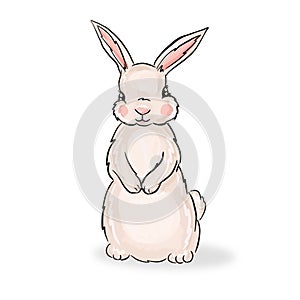 Cute rabbit, bunny, hare cartoon character. Children style, illustration. Sticker, design element for kids books