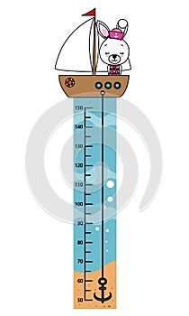 Cute rabbit in a car