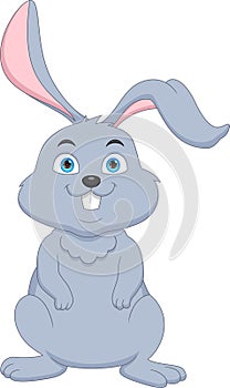 cute rabbit cartoon