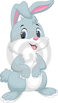 Cute rabbit cartoon