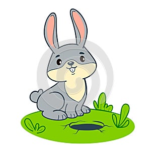 Cute rabbit cartoon. Bunny clipart vector illustration
