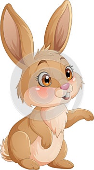 Cute rabbit cartoon on white background