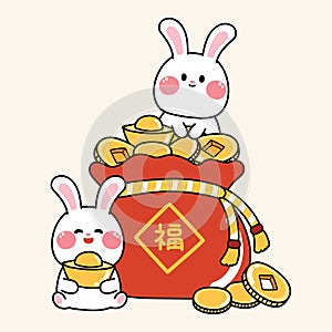 Cute rabbit with chinese lucky bag and coin.Happy new year