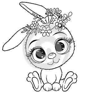 Cute Rabbit with flowers isolated on a white background