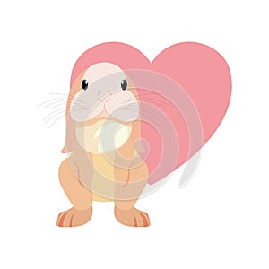 Cute rabbit heart love