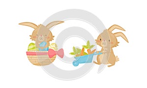 Cute Rabbit with Long Pointed Ears Pulling Trolley with Carrot and Sitting in Basket with Easter Eggs Vector Set