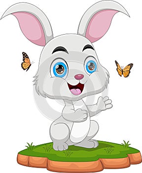 cute rabbit playing with butterfly cartoon